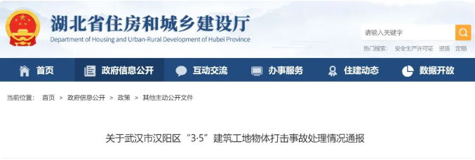 关于武汉市汉阳区“3·5”建筑工地物体打击事故处理情况通报